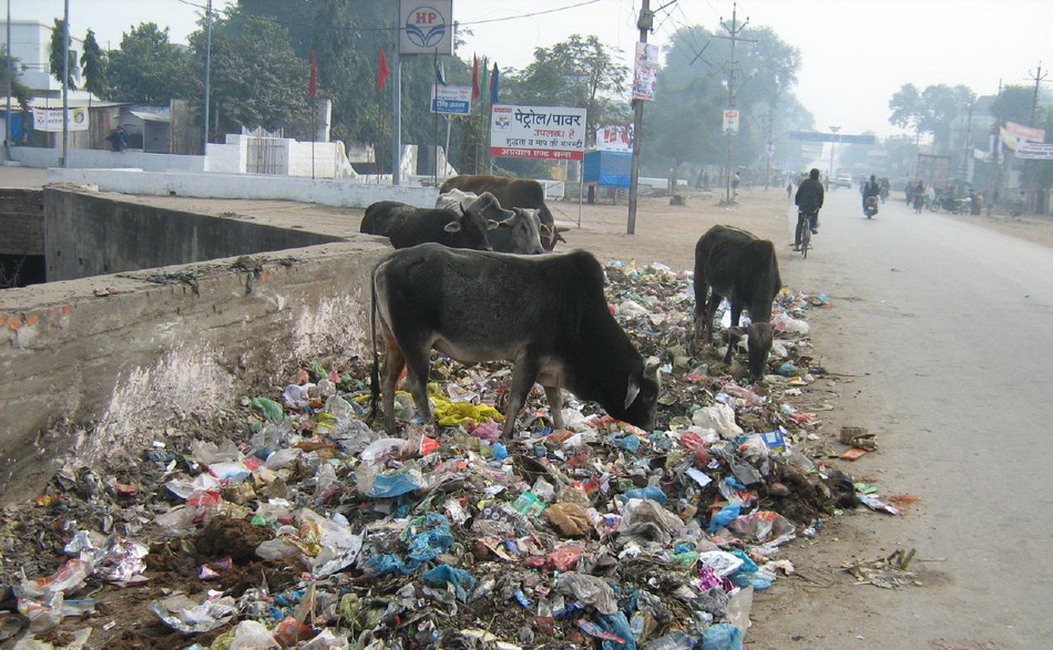 Индия грязная страна