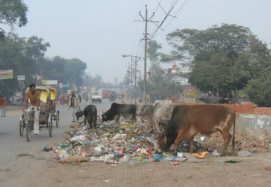индийские трущобы, обратная сторона Индии, условия жизни Индия