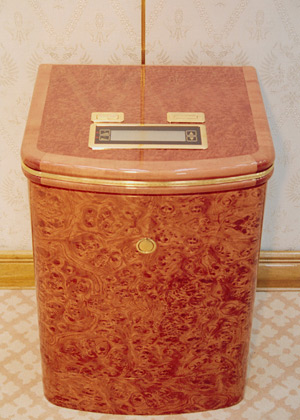 На борту №1, внутри самолета президента России, внутри самолета Путина, самолет Путина