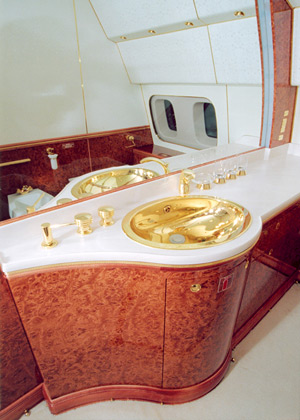 На борту №1, внутри самолета президента России, внутри самолета Путина, самолет Путина