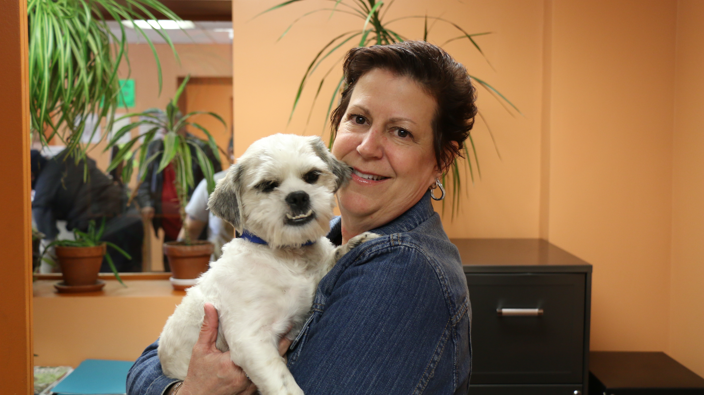 Спасение умирающей собаки, найденной в мусорном баке Эдгар собака, собака в мусорном баке, преображение спасённой собаки