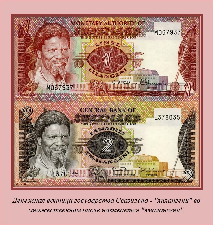 познавательные факты обо всём на свете