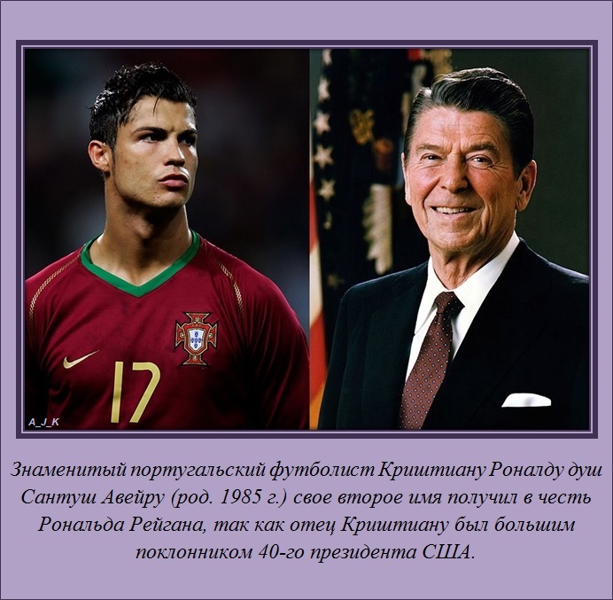 познавательные факты обо всём на свете