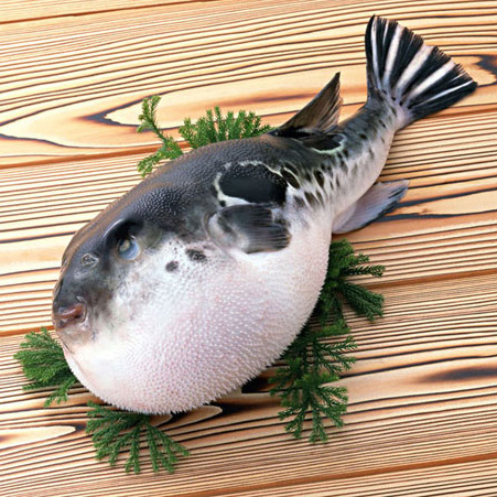 сумасшедшие безумные клубы по интересам, странное хобби