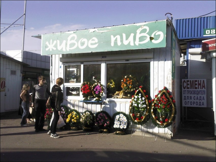 смешные надписи и объявления, маразмы