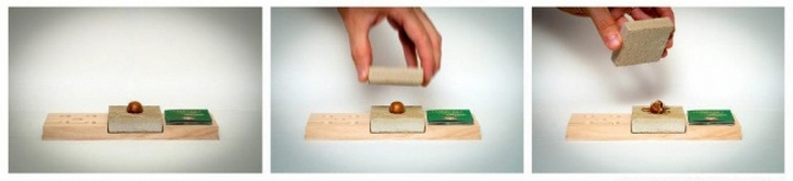 упаковка месяца, лучшая упаковка за июнь, креатив дизайн упаковка