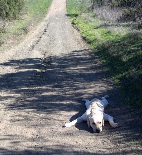 25 людей, у которых лето проходит гораздо хуже, чем у вас неудачное лето, херовое лето, приколы люди лето, как проходит лето