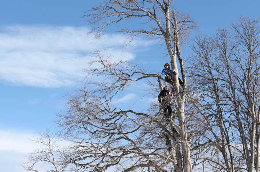 Самые невероятные и поразительные фотографии 2014, фотографии по версии журнала Time