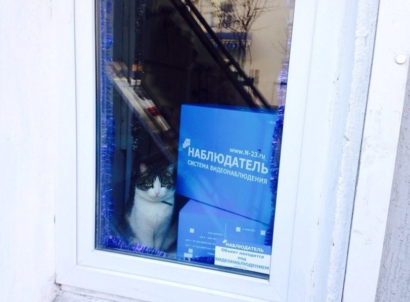 смешные надписи, объявления, маразмы