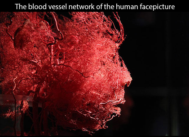 Изображения, которые перевернут ваше представление о мире II Интересные,наука, картинки, перевернут ваш мир, анимация