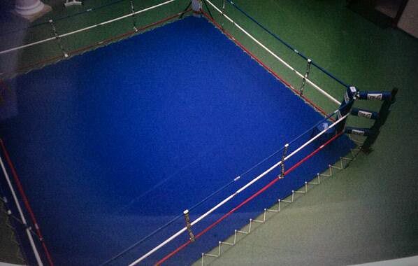 Журналисты,протестующие, внутри, резиденции, загородного дома, Виктор Янукович, портрет, унитаз