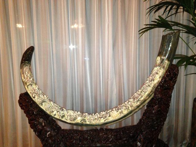 Журналисты,протестующие, внутри, резиденции, загородного дома, Виктор Янукович, портрет, унитаз