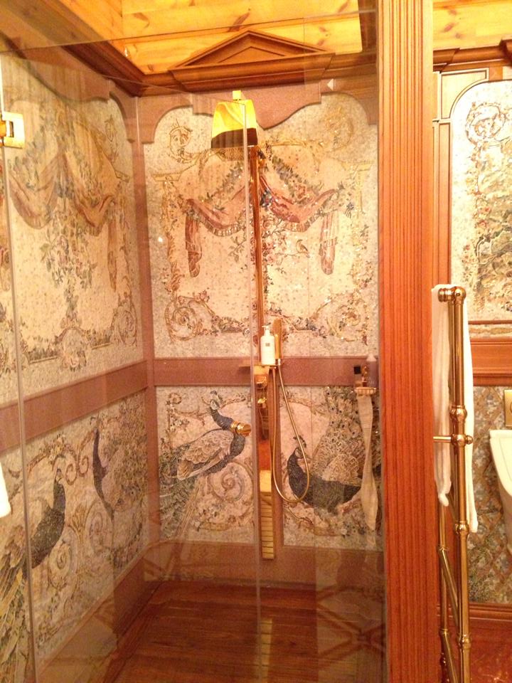 Журналисты,протестующие, внутри, резиденции, загородного дома, Виктор Янукович, портрет, унитаз