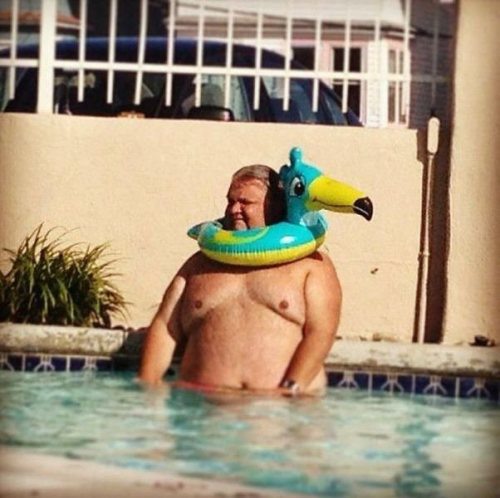 Позитив, юмор, смешные фотографии,прикол