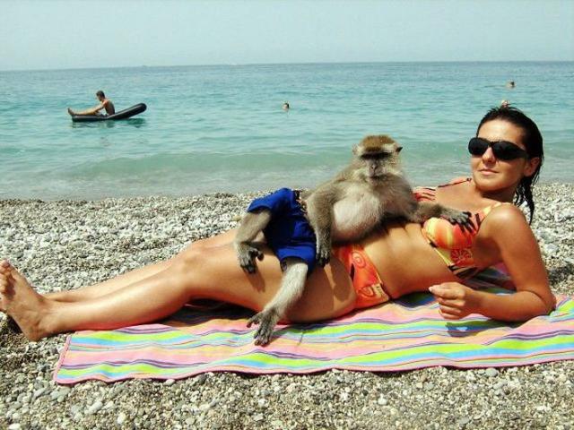 Позитив, юмор, смешные фотографии,прикол