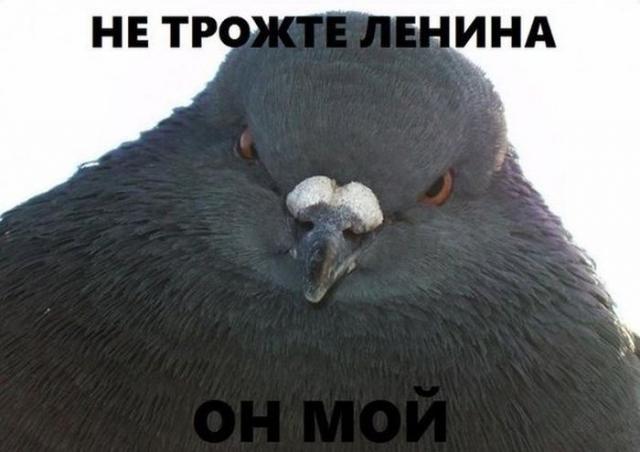 Позитив, юмор, смешные фотографии,прикол