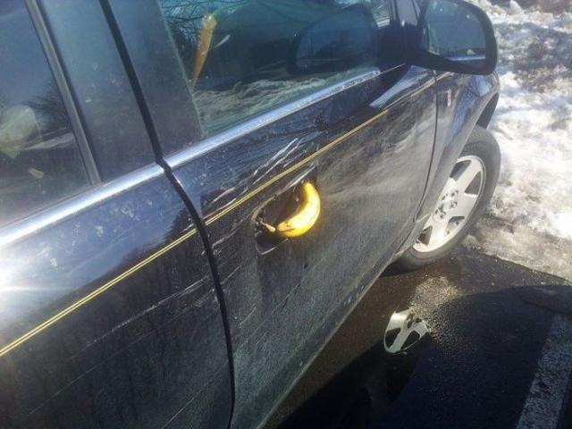 Позитив, юмор, смешные фотографии,прикол