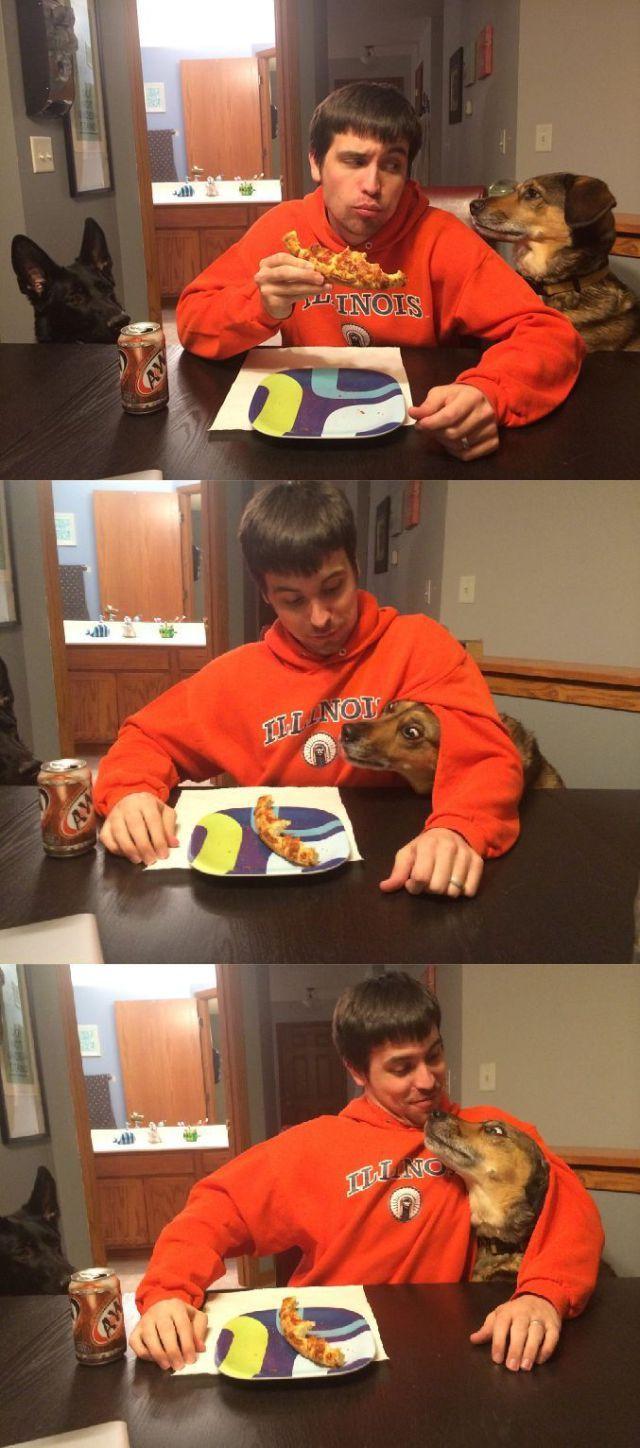 Позитив, юмор, смешные фотографии,прикол