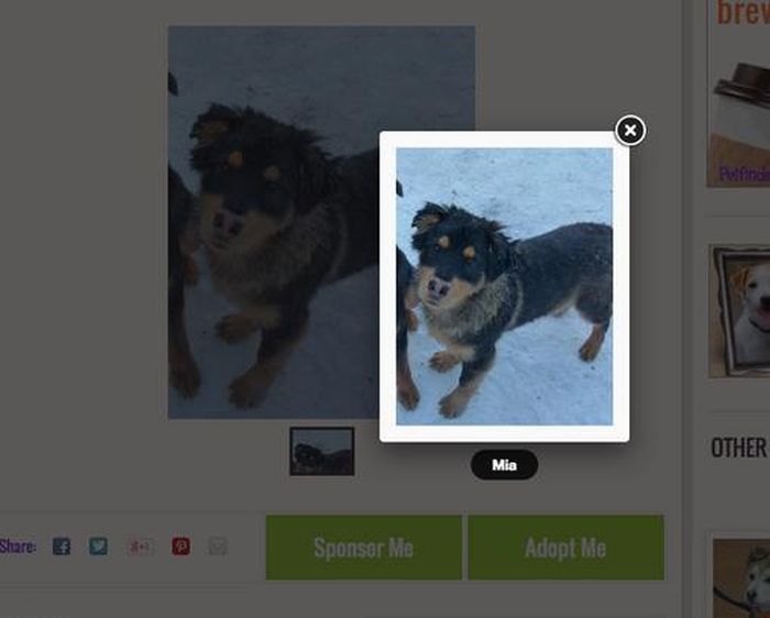 Повседневные, вещи, которые бесят