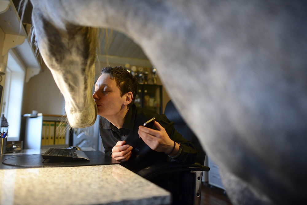 Конь, живущий в доме вместе со своей хозяйкой Конь, Назар, живет в доме, с хозяйкой, доктор, Стефани Арндт, Stephanie Arndt