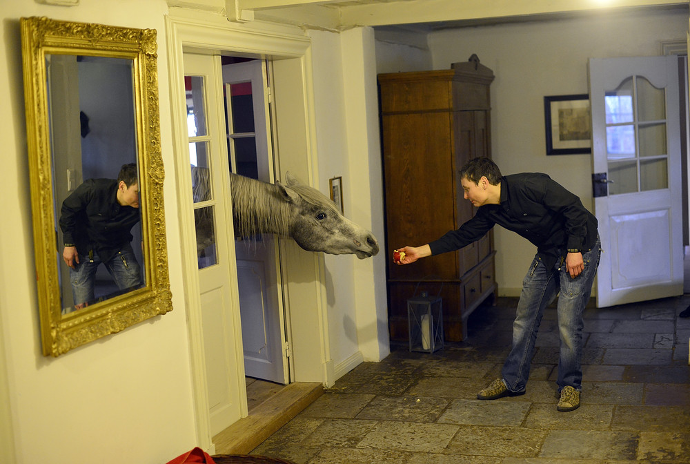 Конь, живущий в доме вместе со своей хозяйкой Конь, Назар, живет в доме, с хозяйкой, доктор, Стефани Арндт, Stephanie Arndt