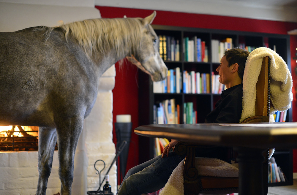 Конь, живущий в доме вместе со своей хозяйкой Конь, Назар, живет в доме, с хозяйкой, доктор, Стефани Арндт, Stephanie Arndt