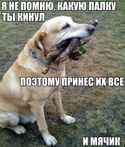 Позитив, юмор, смешные фотографии,прикол