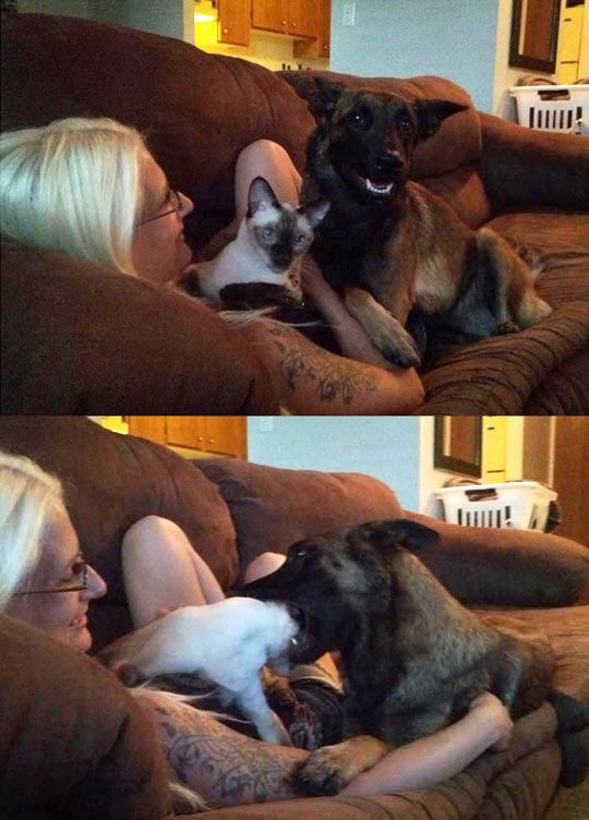 Позитив, юмор, смешные фотографии,прикол