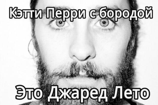 Позитив, юмор, смешные фотографии,прикол