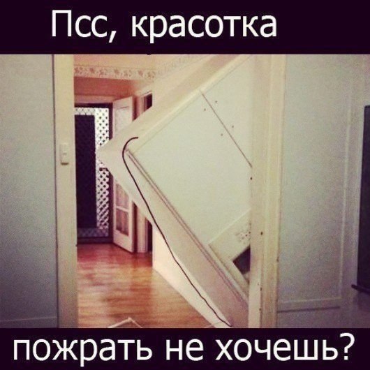 Позитив, юмор, смешные фотографии,прикол