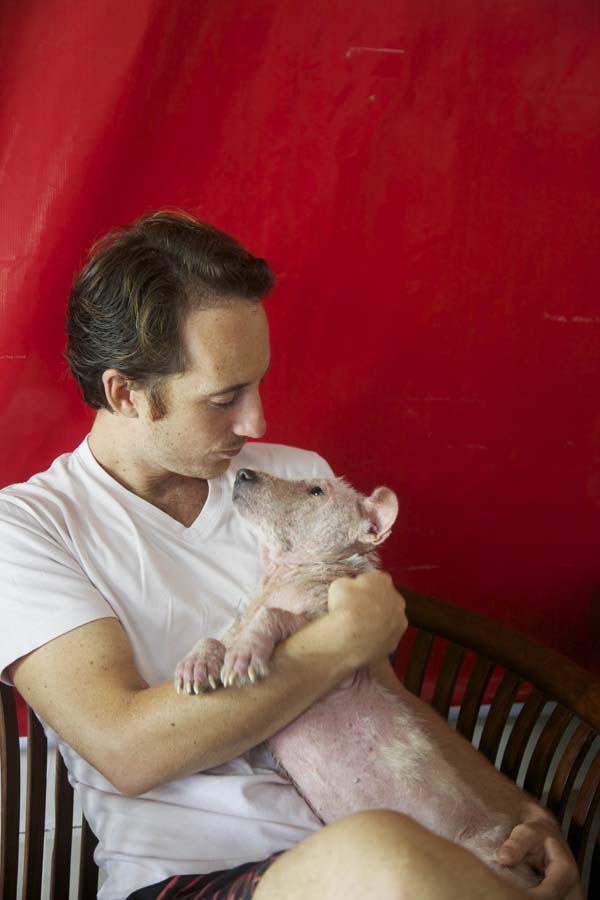 спасение собаки по кличке Руби, Ruby dog