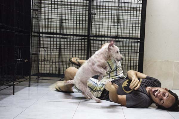 спасение собаки по кличке Руби, Ruby dog