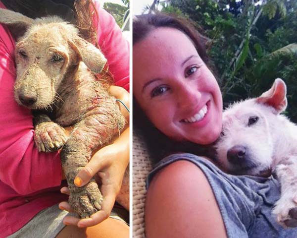 спасение собаки по кличке Руби, Ruby dog