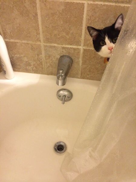 Позитив, юмор, смешные фотографии,прикол