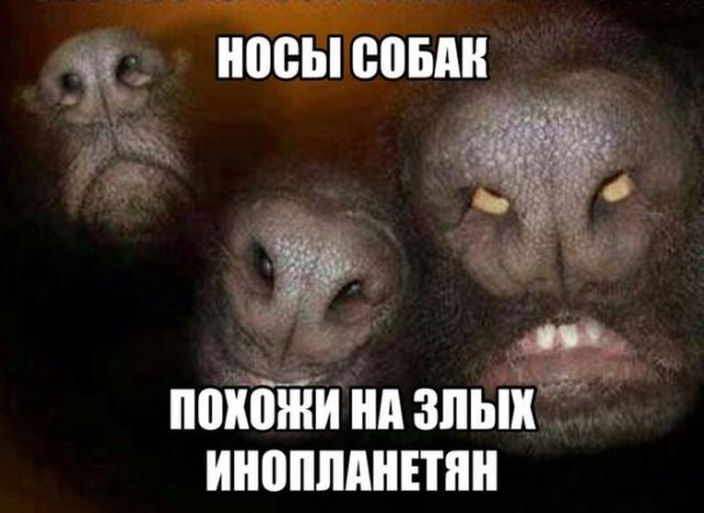 Позитив, юмор, смешные фотографии,прикол