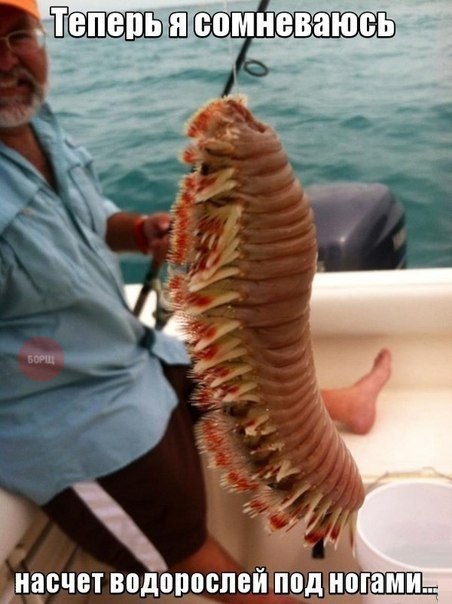 Позитив, юмор, смешные фотографии,прикол