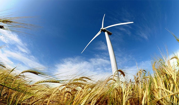 25 реальных человеческих фобий, в существование которых трудно поверить самые необычные фобии, фобии людей, необычные боязни людей, чего люди боятся