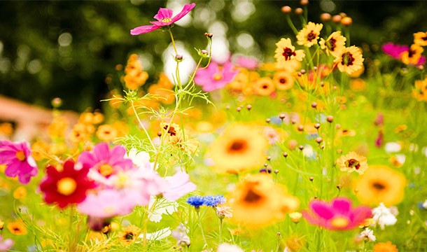 25 реальных человеческих фобий, в существование которых трудно поверить самые необычные фобии, фобии людей, необычные боязни людей, чего люди боятся