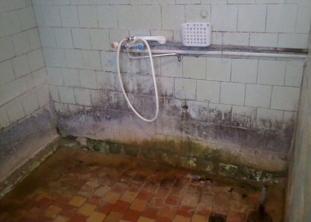 российские больницы из ада, условия больницы Россия, ужасные условия больницы, 