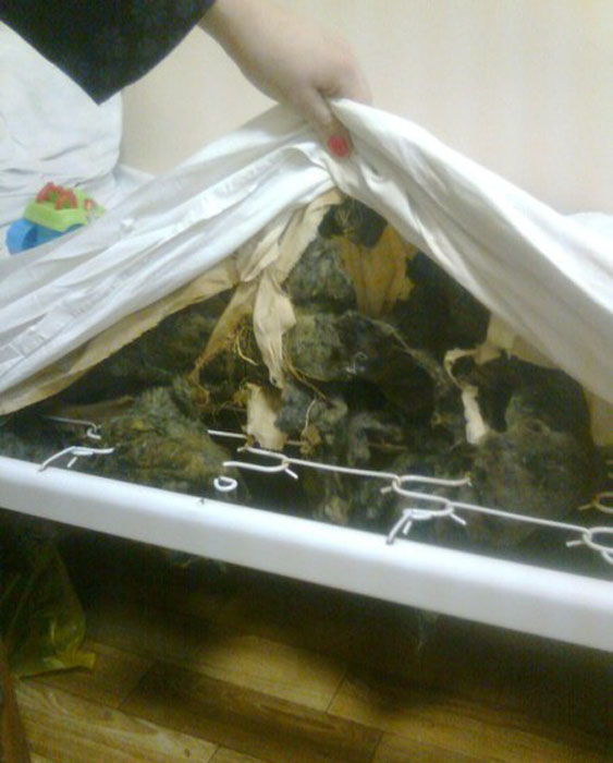 российские больницы из ада, условия больницы Россия, ужасные условия больницы, 