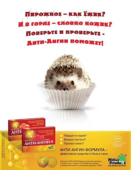 смешные стихи, стихоплетов, реклама, рекламщиков, горе, поэты