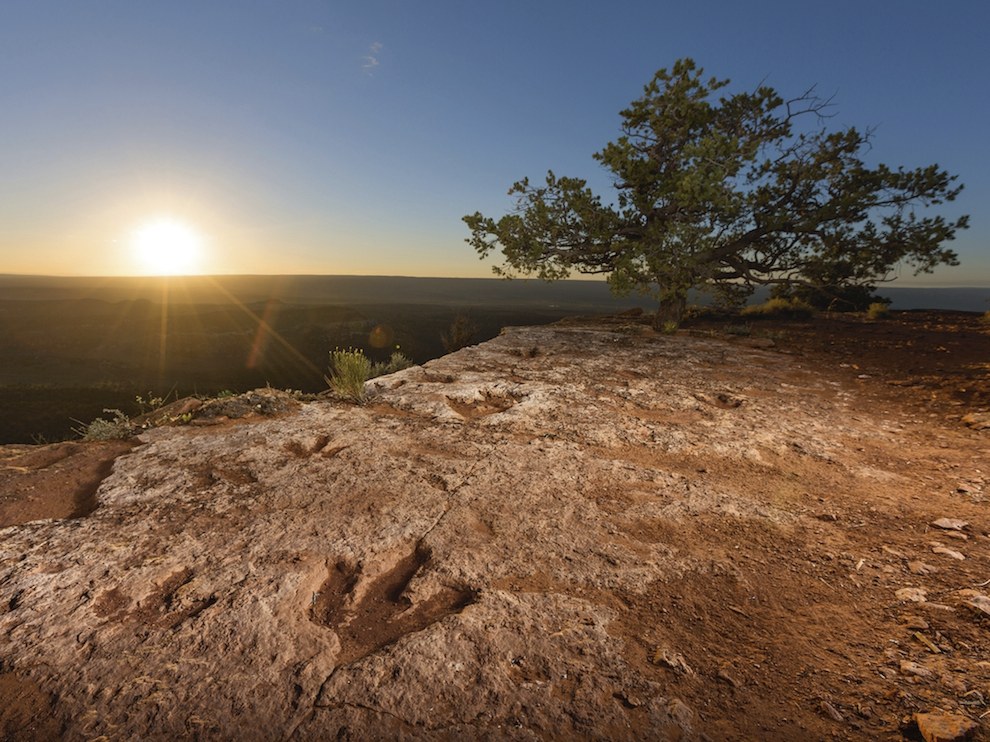 National Geographic за май 2014, лучшие фотографии National Geographic