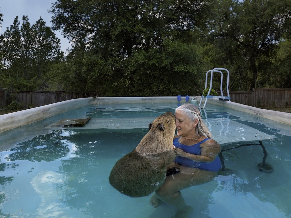 National Geographic за май 2014, лучшие фотографии National Geographic