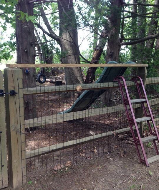 смешной выход из положения, способ выйти из положения, гениальные идеи