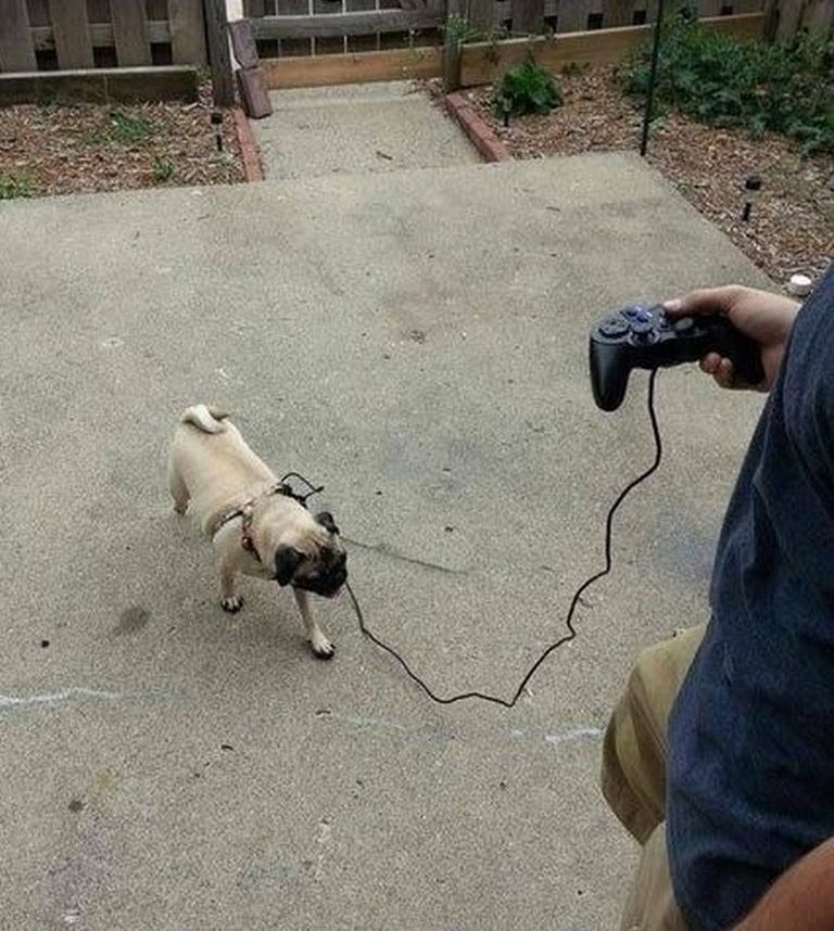 смешной выход из положения, способ выйти из положения, гениальные идеи