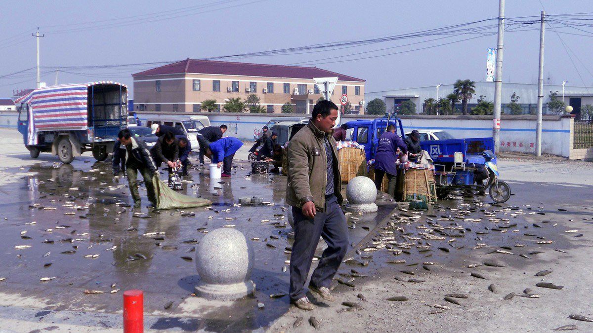 Перевернутый кузов грузовика - настоящий праздник для китайца китайцы перевернутый грузовик, день перевернутого грузовика, китайцы собирают из перевернутого грузовика