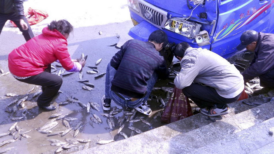 Перевернутый кузов грузовика - настоящий праздник для китайца китайцы перевернутый грузовик, день перевернутого грузовика, китайцы собирают из перевернутого грузовика