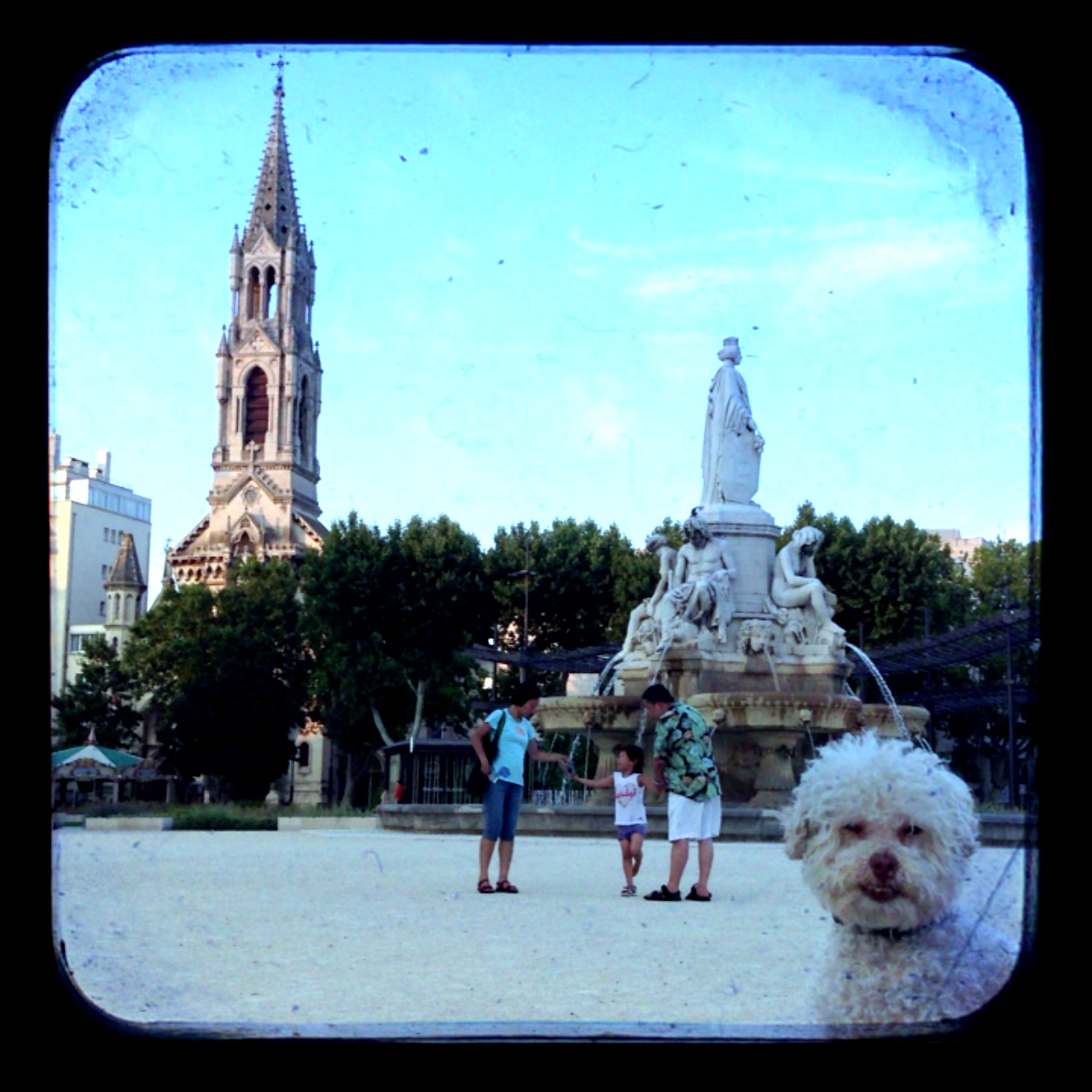 Очаровательный 14-летний пёс-путешественник Серберо, который побывал там, куда все только мечтают попасть Cerbero dog travel, собака путешественник