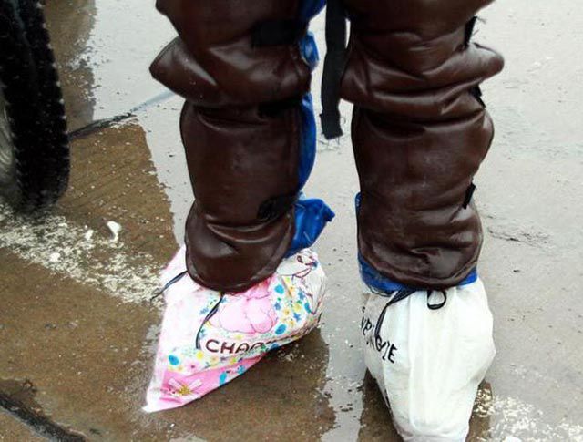 безумства от японцев, сумасшедшие японцы, тем временем в японии