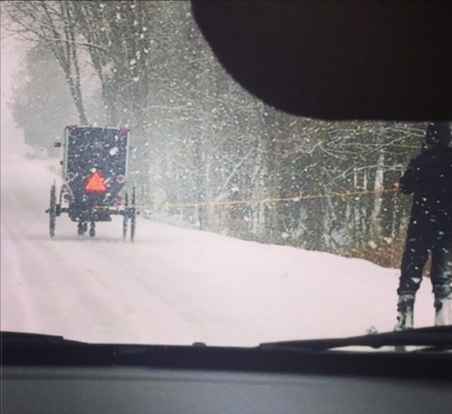 Тем временем в Канаде, meanwhale in Canada